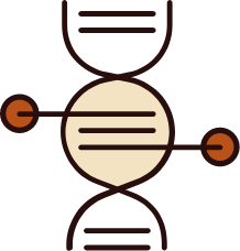 Icon DNA